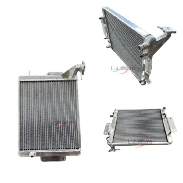 RADIATORE PORTER PIAGGIO 1640087Z21000