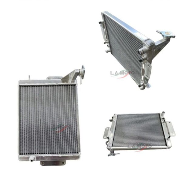 RADIATORE PORTER PIAGGIO 1640087Z21000