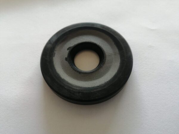PARAOLIO ALBERO MOTORE LATO FRIZIONE 20X62X6,5 MM