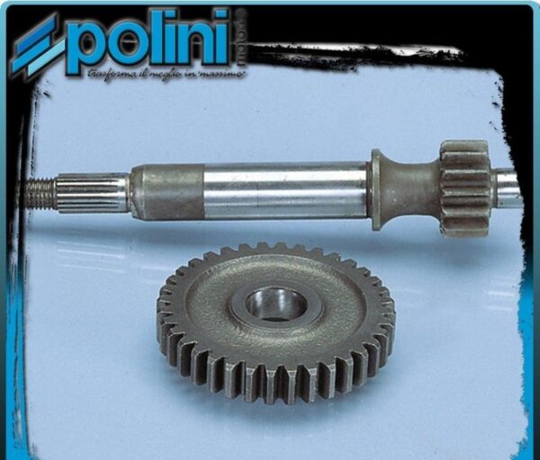202.1334 INGRANAGGI RAPPORTI PRIMARI POLINI Z 17/41 CAGIVA CITY 50