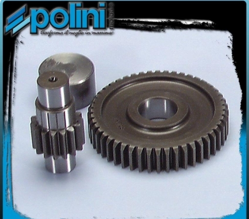 202.1366 INGRANAGGI RAPPORTI SECONDARI POLINI Z 15/48 CAGIVA PROGRESS 50