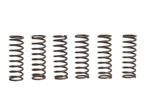 2225 KIT MOLLE FRIZIONE FERODO 6 PEZZI SH 350