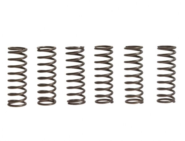 2225 KIT MOLLE FRIZIONE FERODO 6 PEZZI SH 350