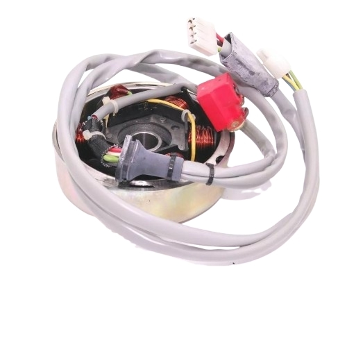 826484 ACCENSIONE COMPLETA STATORE E VOLANO ORIGINALE PIAGGIO SKIPPER 4T