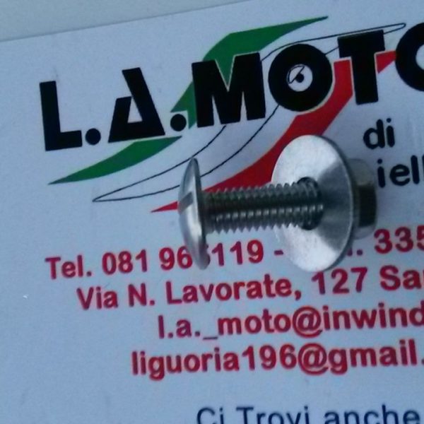 COPPIA VITI PARAFANGO PER VESPA 50 N L R 125 VNA VNB SPRINT