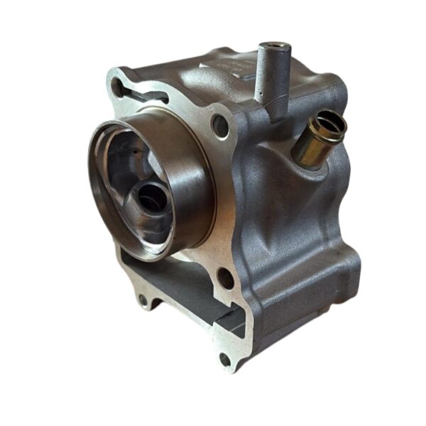 KIT CILINDRO PISTONE RMS HONDA SH 150 4T