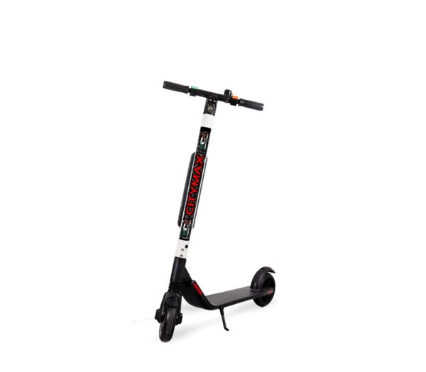 MONOPATTINO CITYMOVE MAX