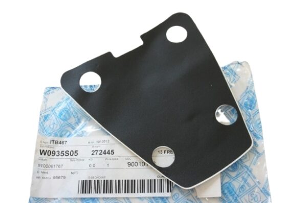 272445 ADESIVO FREGIO PORTAPACCHI PER PIAGGIO GILERA EASY MOVING (272445)