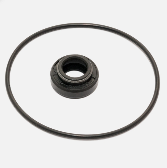 KIT PARAOLIO GUARNIZIONE RMS POMPA DELL'ACQUA PER MINARELLI LC