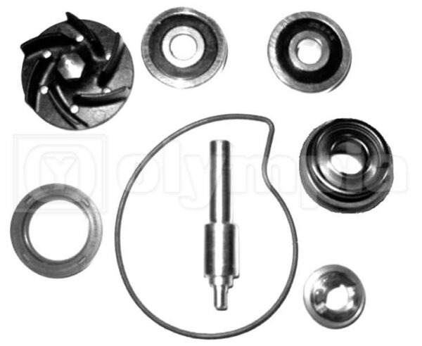 KIT REVISIONE GIRANTE PIAGGIO 125-200 VESPA GRANTURISMO - X8 - X9 BEVERLY - MP3