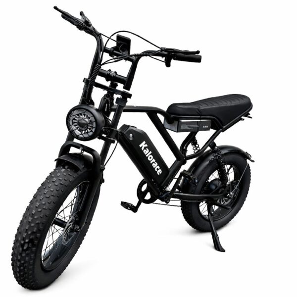 FAT BIKE ONE W066 48V