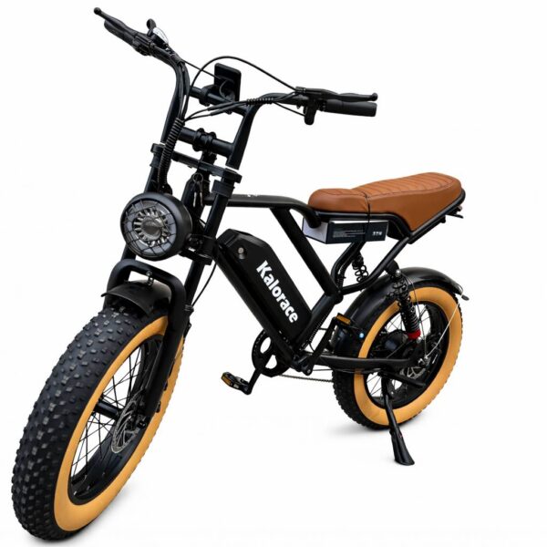 FAT BIKE ONE W066 48V