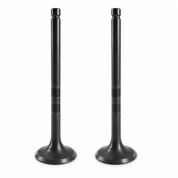 1A005500 COPPIA VALVOLE DI SCARICO PIAGGIO PORTER NP6