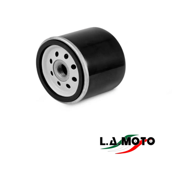 222721 FILTRO OLIO APE POKER / TM / CAR