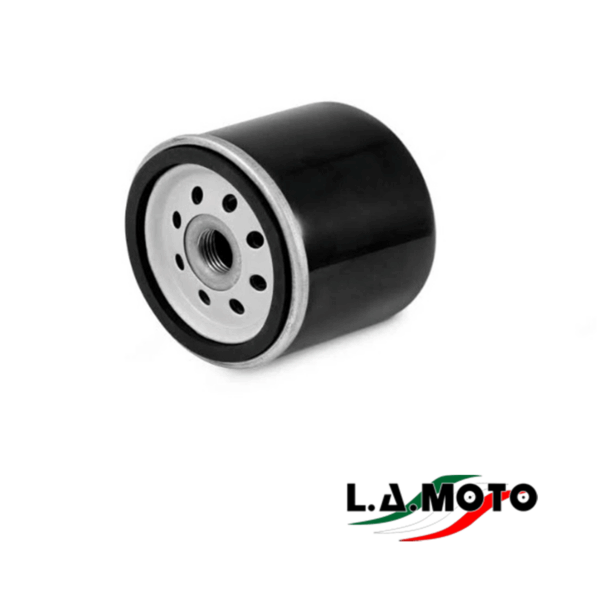 222721 FILTRO OLIO APE POKER / TM / CAR