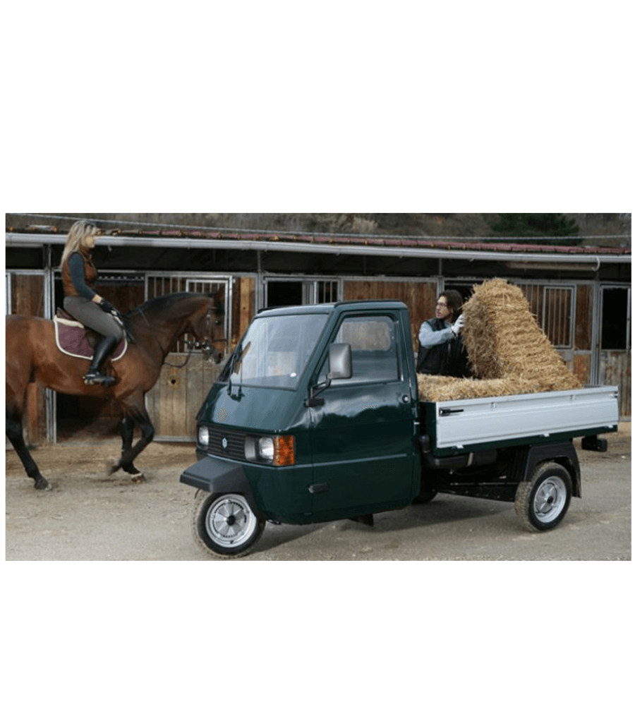 169360 PARAOLIO LATO VOLANO PIAGGIO APE POKER BENZINA - immagine 3