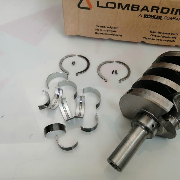 850002 LDW 702 ALBERO MOTORE PIAGGIO QUARGO