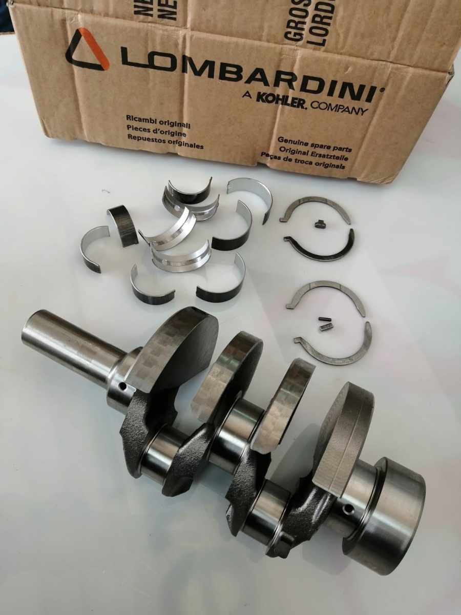 850002 LDW 702 ALBERO MOTORE PIAGGIO QUARGO - immagine 3