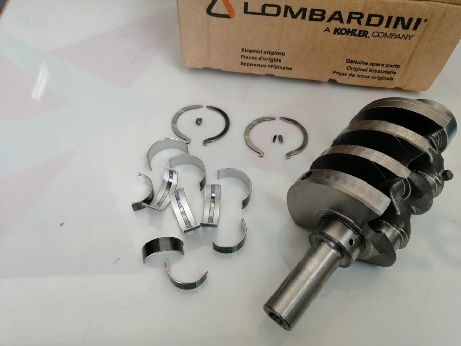 850002 LDW 702 ALBERO MOTORE PIAGGIO QUARGO - immagine 6